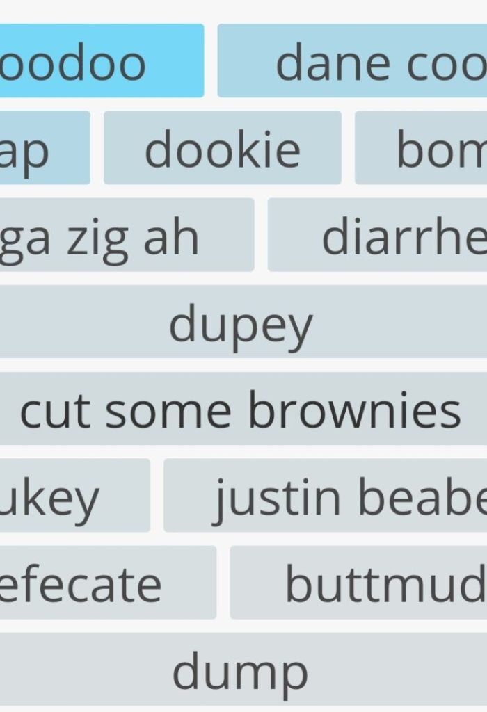 100 + Funny Names for Poop
