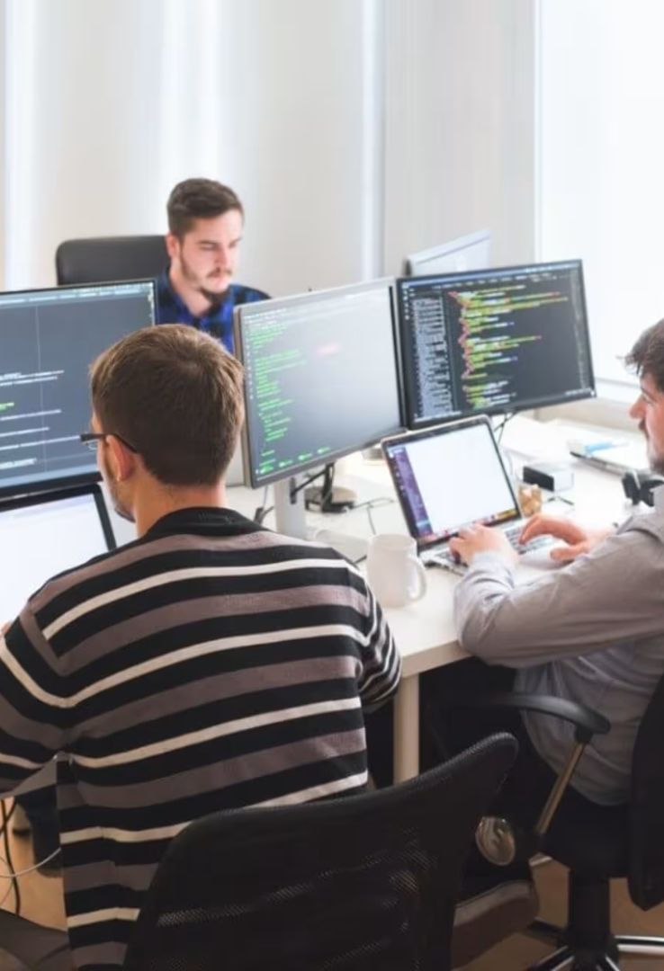 Working with a Development Team